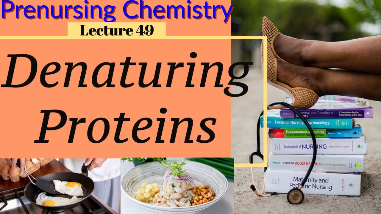 Cooking & Protein Denaturing Video Chemistry for Nursing (Lecture 49