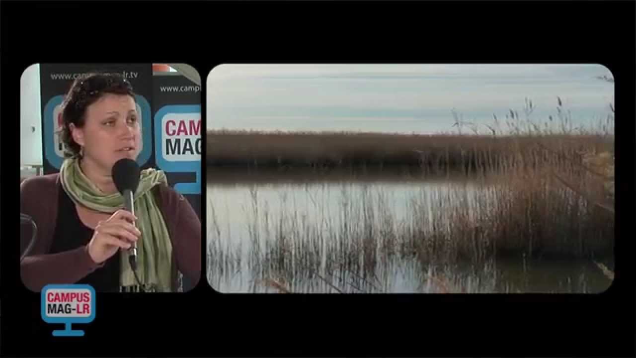 Campus Mag LR: présentation de la conférence internationale Résilience 2014 (CIRAD)