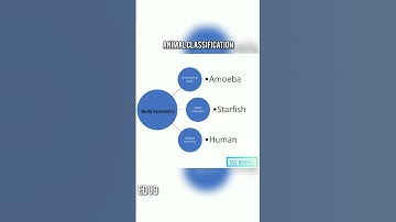 body symmetry | animal classification #boardexam #ssc #maharashtra #boards #boards2022 #science