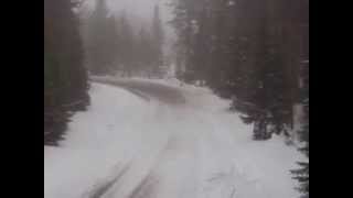 Rally Sweden Flat Out