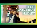 A Bird Feeder That Identifies Birds on Camera? My Review