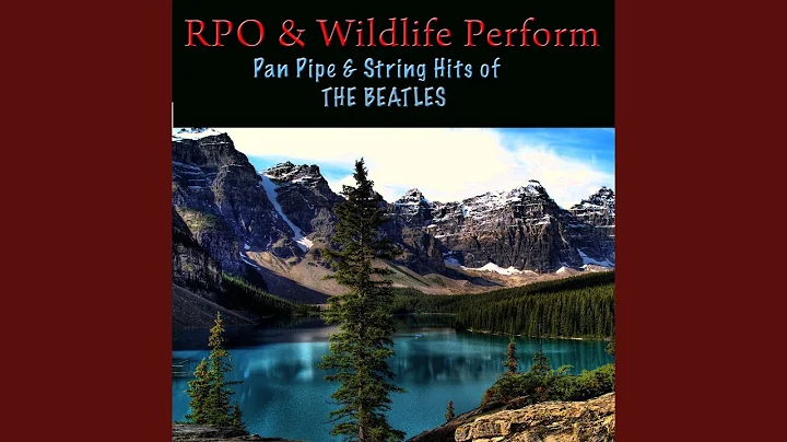 All You Need Is Love