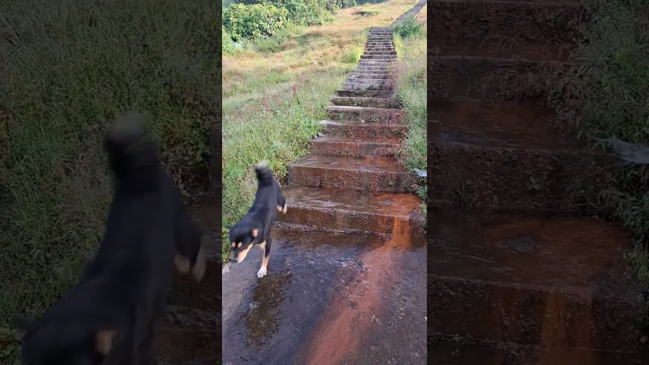 Enjoy travelling # Trip to Gulmi Bharse