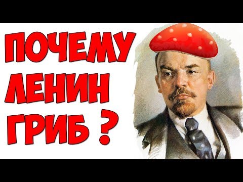 В 4 утра / Почему Ленин гриб?
