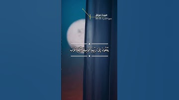 سورة الإسراء الاية 55-58