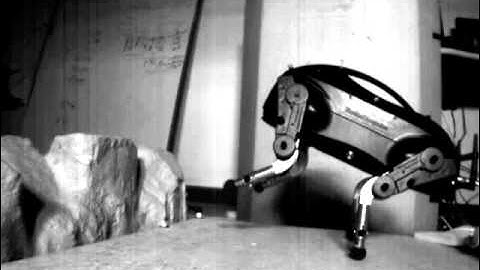 Slow-motion of LittleDog Dynamic Climb