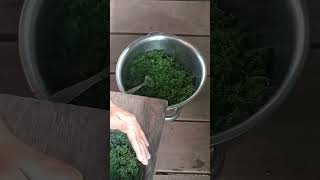 Tutorial numbuk daun ubi #tutorial #daunubitumbuk #masakanrumahan