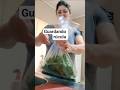 Como preservar as rúcula na geladeira por vários dias. #yutube #dicas #receitas #cozinha#rúcula.