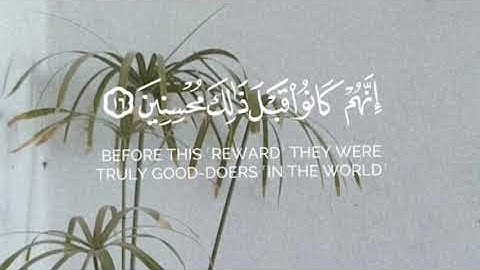 إن المتقين في جنات وعيون | القارئ الشيخ محمد الوكيل