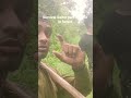 survival camp vlog 3 #survival #survivalcamp #survivalskills #campping