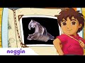 Let&#39;s Learn About Fruit Bats w/ Diego | Noggin