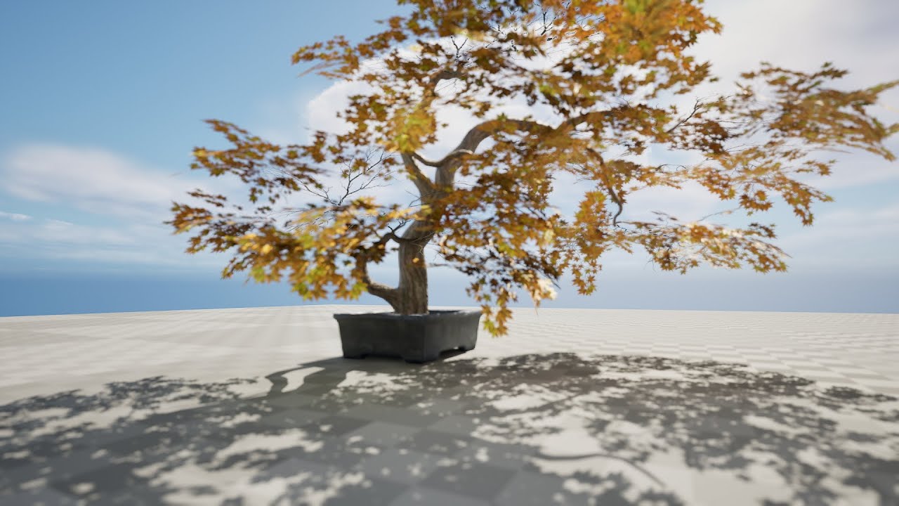 3D model Bonzai Tree VR / AR / low-poly