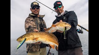 Redfish Mania in Steinhatchee Florida - Yo-Zuri Episode 2