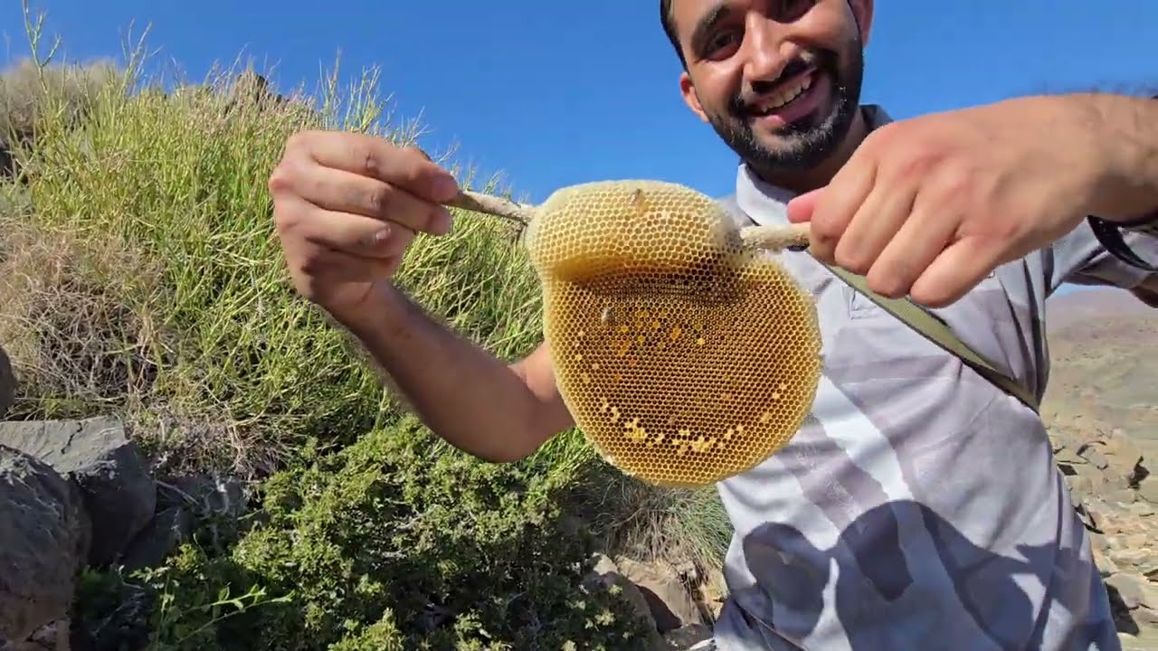 قص خليتين نحل أبو طويق  من الجبل موسم السدر ٢٠٢٥.