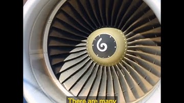 How to check CFMS Bill Status: Beneficiary Payment, Treasury