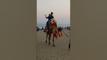 Puri mini vlog#shorts#youtubeshorts #viral