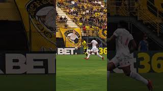 Dia de jogo! Estreia no Paulistão 2026 - São Bernardo x Capivariano.