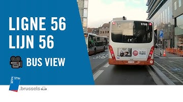 STIB MIVB Bus 56 : Schuman - Buda [busview] HD Brussels
