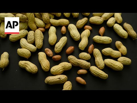 Thousands of kids avoided peanut allergies by eating peanuts as babies