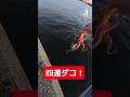 タコ１匹増えた？？？