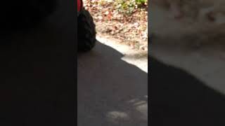 Honda foreman wheelies
