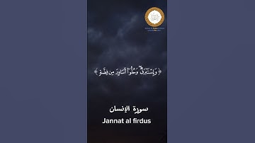 #سورةالإنسان #قران_كريم #أفلا_يتدبرون_القرآن #راحة_نفسية #تلاوة_خاشعة #حالات_واتس #المنشاوي