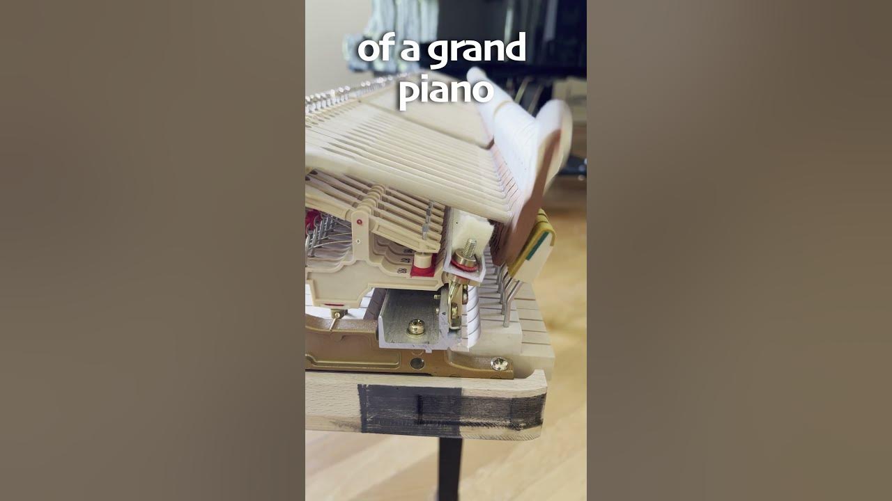fix a clicking key on a grand piano piano shorts YouTube