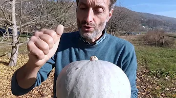 Che nome dare a una zucca?