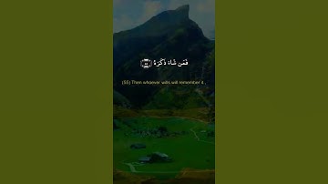 القارىء عبدالرحمن الصقعوب | حالات واتس اب دينية قصيرة قران كريم تلاوة خاشعة ومؤثرة بصوت جميل جدا جدا