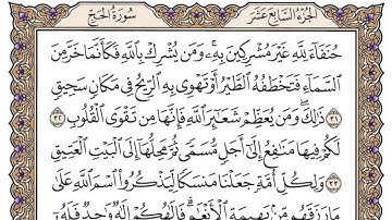 سورة الحج / محمد صديق المنشاوي