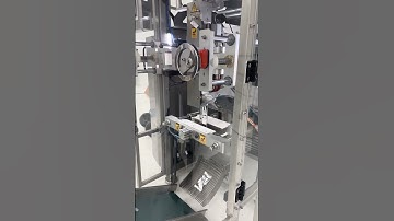Continuous Motion Form Fill and Seal Packing Machine | SEVVALUSA