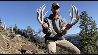 Shed hunting 2022 **HUGE Non-typical mule deer set | Doovi
