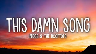 Pecos &amp; The Rooftops - This Damn Song (Lyrics)