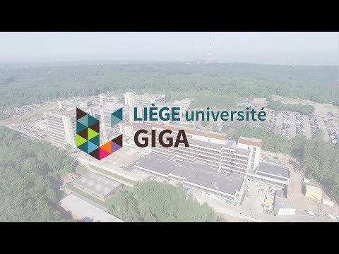 Partnervermittlung unseriös Partnervermittlung unseriös