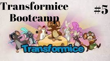 Transformice Bootcamp #5