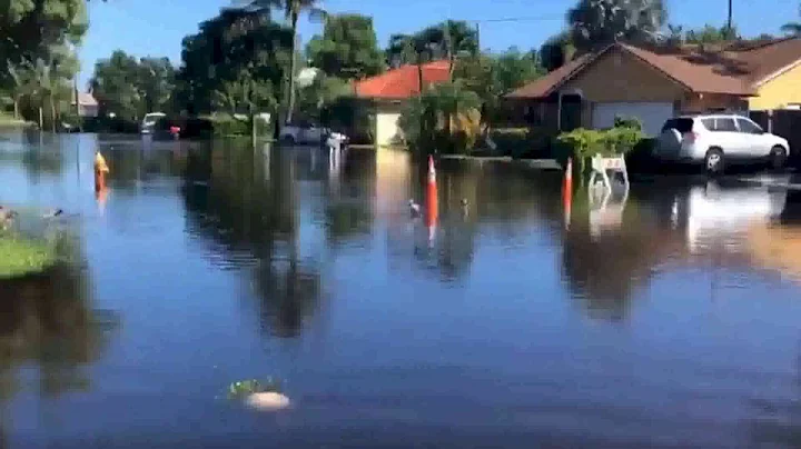 Hundreds of homes impacted by flooding in Lantana
