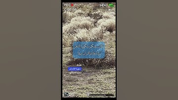 سورة الانسان الاية 21-25