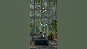 سورة الإخلاص #القرآن_الكريم #قرآن