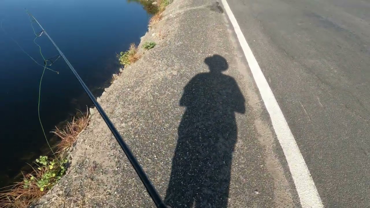 Giant Bass for Micro Bait!! 1/48 oz Bobby Garland Jig Nikko Pinworm! Fishing  a Agriculture Ditch!