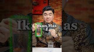 Download Lagu TEORI IKAN MAS INI BISA BUAT KAMU SUKSES! MP3