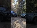 Herbst in Schweden – wenn die Wälder in Gold und Rot leuchten 🍁🌲