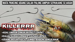 Killerr Pemula Wajib Mencobamembuat Pancing Udang Galah Paling Ampuhseling Jambi