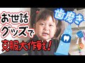 歯磨き嫌い克服作戦！おもちゃより〇〇派です【2歳】