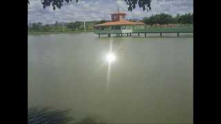 Mamonas Minas Gerais fonte: i.ytimg.com Fonte: i.ytimg.com