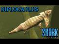 shark stories diplocaulus screen time