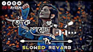 Toke Peyechi🌺 Rahul- Anishaa- Sweet  [Slowed Revarb] New Song 2024