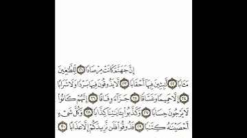 سورة النبأ 4 القسم الرابع تكرار كيفي من .. إن جهنم .. إلى ..  إلا عذابا