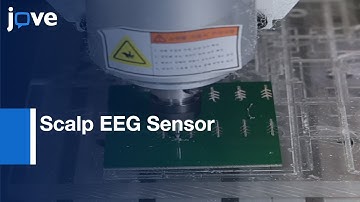 Visual Evoked Potential Recordings by Scalp EEG Sensor | Protocol Preview