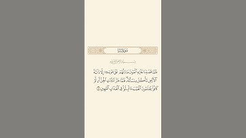 سورة سبأ: الآية 14 #قران_كريم #قرآن #اكسبلور #quran #سورة_سبأ