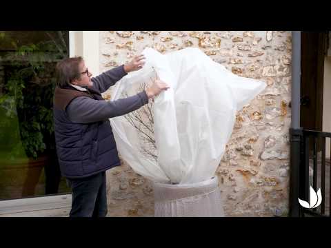 Vidéo: Protection hivernale pour les arbres en pot - Arbres en pot qui survivent à l'hiver